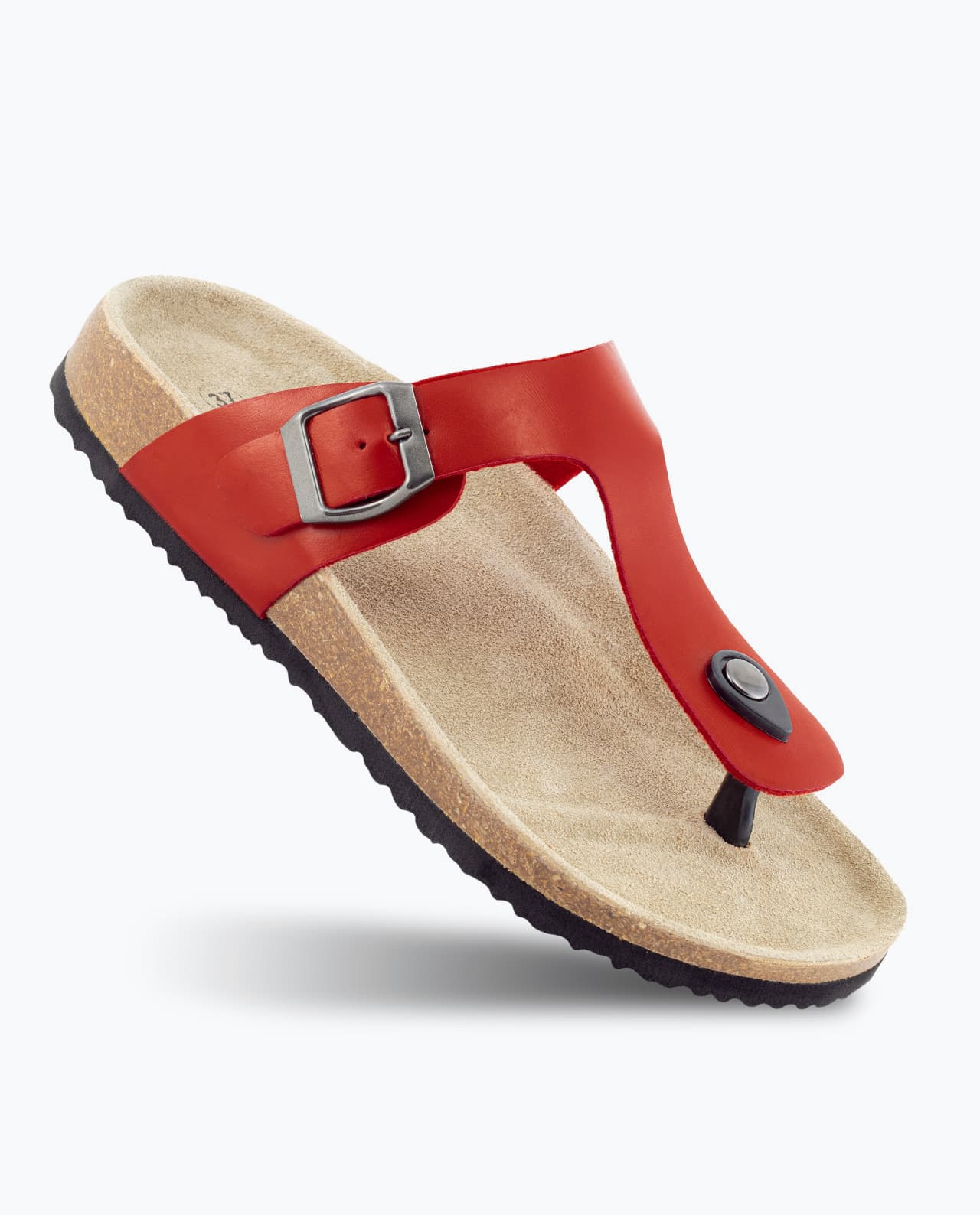800-02-RED_diag